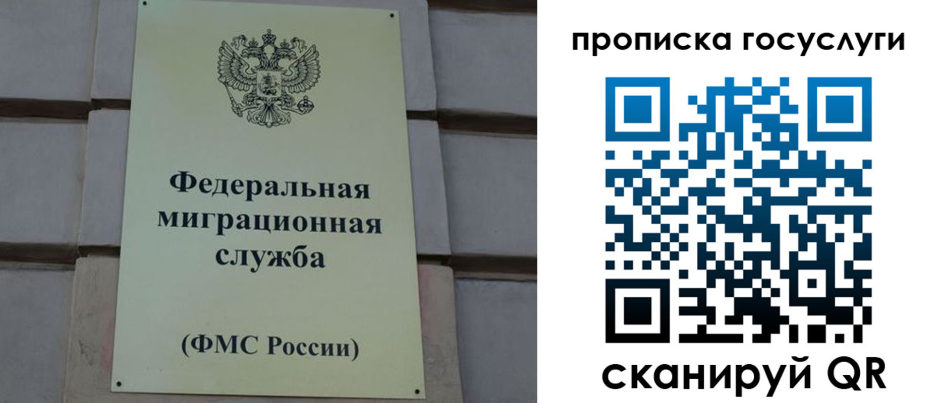 прописка ребенка в Красногорске